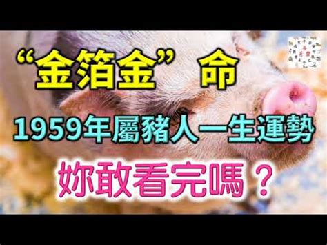 豬肉屬性|【豬五行】屬豬五行解密：看懂生肖豬的五行屬性，助你趨吉避兇。